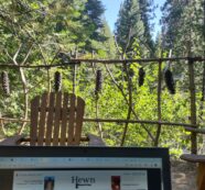 There are Worse Places to Catch up on Computer Work :) There are Worse Places to Catch up on Computer Work :)