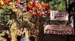 Farm Fresh Pumpkins and More at Hewn Woodshed