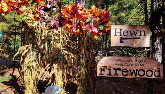 Farm Fresh Pumpkins and More at Hewn Woodshed