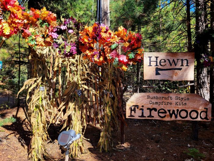Farm Fresh Pumpkins and More at Hewn Woodshed