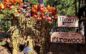Farm Fresh Pumpkins and More at Hewn Woodshed