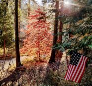 A Bit of Fall Wisdom from Henry David Thoreau