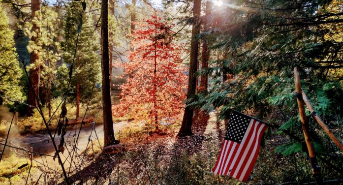 A Bit of Fall Wisdom from Henry David Thoreau A Bit of Fall Wisdom from Henry David Thoreau