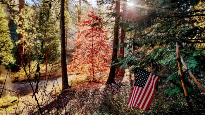 A Bit of Fall Wisdom from Henry David Thoreau