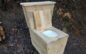 Introducing the Privy Composting Toilet™