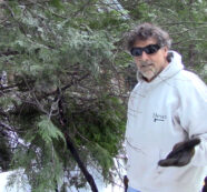 Storm Clean Up After Storm of 2026 Downs Trees Wrecks Havoc on West Slope of Sierras.