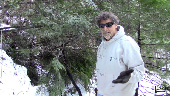 Storm Clean Up After Storm of 2026 Downs Trees Wrecks Havoc on West Slope of Sierras.