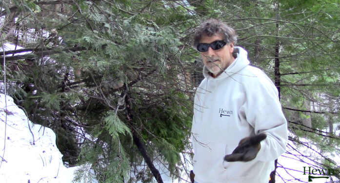 Storm Clean Up After Storm of 2026 Downs Trees Wrecks Havoc on West Slope of Sierras.