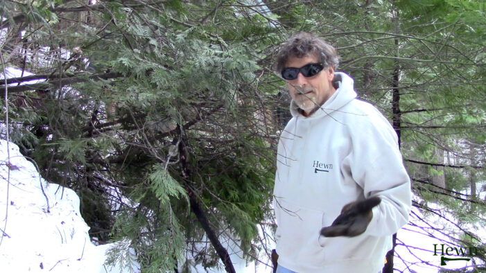 Storm Clean Up After Storm of 2026 Downs Trees Wrecks Havoc on West Slope of Sierras.