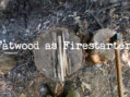 What is Fatwood & Using it a Firestarter