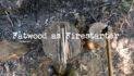 What is Fatwood & Using it a Firestarter