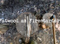 What is Fatwood & Using it a Firestarter