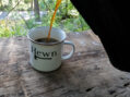 Getting a Small Water System Up and Running.  Hewn Feature ~ Week Two