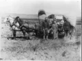 A New Homestead Act ~ By John Hamilton