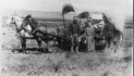 A New Homestead Act ~ By John Hamilton