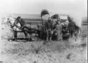 A New Homestead Act ~ By John Hamilton