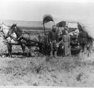 A New Homestead Act ~ By John Hamilton